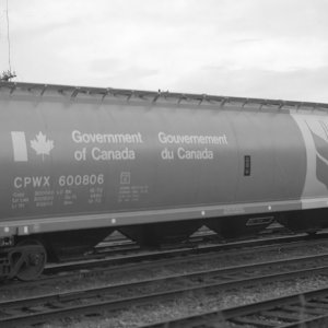 A Government of Canada grain car in 1975