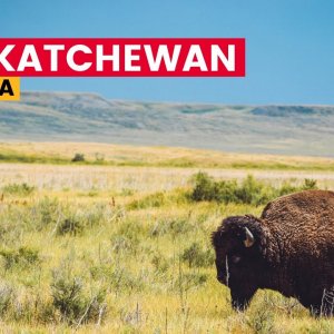Canada Road Trip: Best Things To Do In Saskatchewan